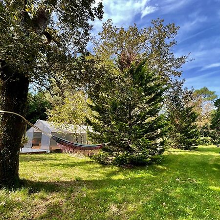 Cabane Au Milieu Des Pins - Domaine Temali Labouheyre Esterno foto