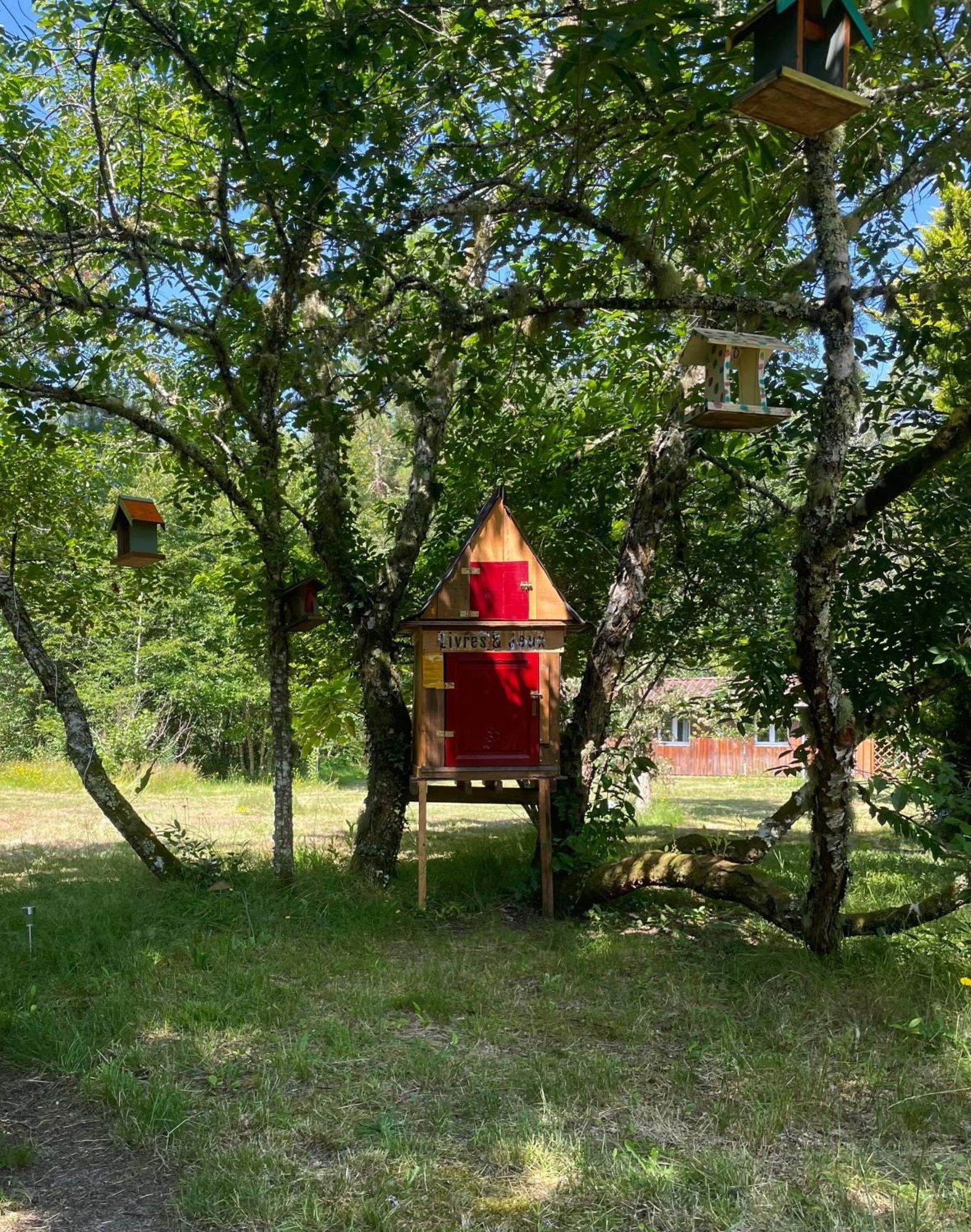Cabane Au Milieu Des Pins - Domaine Temali Labouheyre Esterno foto